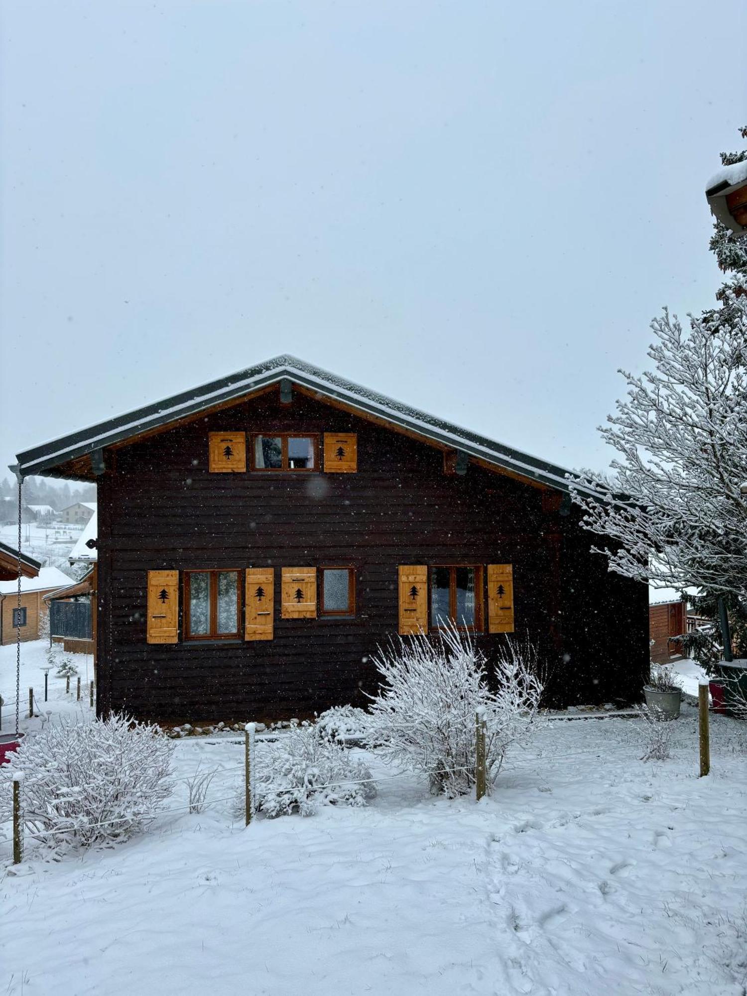 Chalet L'Embellie - Chalet Avec Piscine Partagee Saint-Laurent-en-Grandvaux Exterior foto